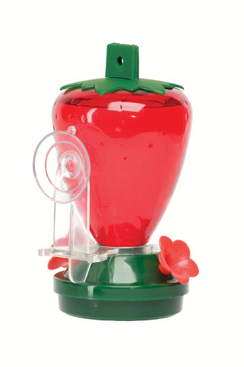 strawberry window hummingbird feeder includes suction cup strawberry window hummingbird feeder includes suction cup