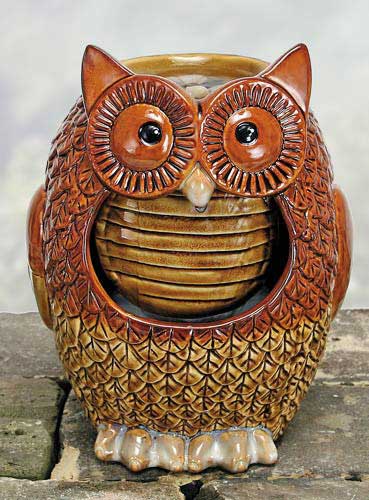 Owl Water Fountain
