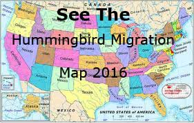When are hummingbird migration times?