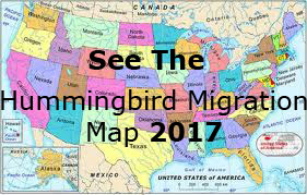 Hummingbird Migration Map 2015 Hummingbird Migration Map 2015