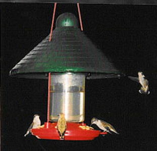 Shaded Hummingbird Feeder