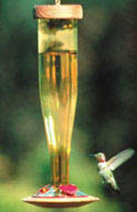 PBBSHBLG Gold Lantern Hummingbird Feeder