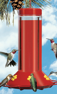 PP209 30oz Glass Hummingbird Feeder