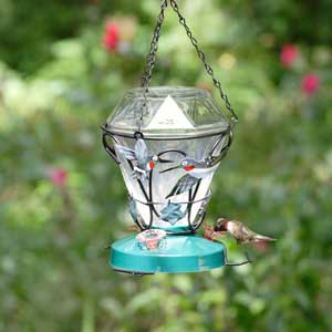 Hummingbird Edition Feeder Hummingbird Edition Feeder