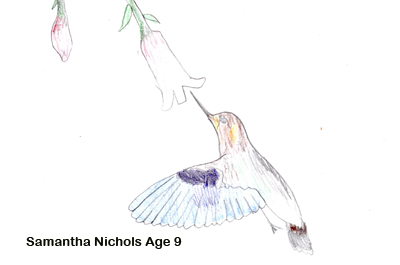 poetry contests for kids poetry contests for kids