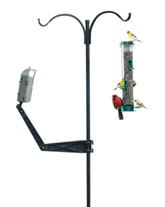 WINGWSBR01 BirdCam Mounting Arm