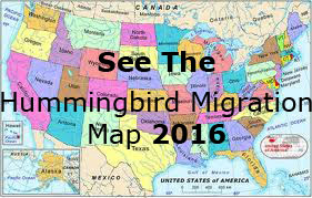 Hummingbird Migration Map 2015 Hummingbird Migration Map 2015