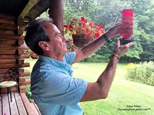Taking Down A Hummingbird Feeder