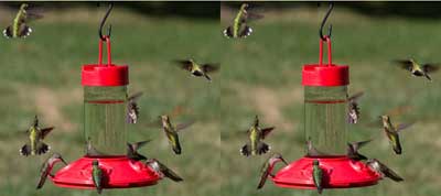 2 Dr. JB's Hummingbird Feeders