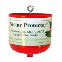 Hummingbird Accessory