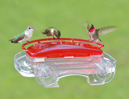 Jewel Box Window Hummingbird Feeder