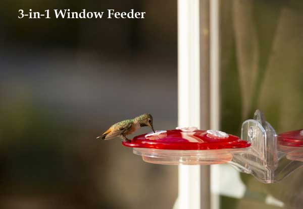 3-in-1 Window Hummingbird Feeder