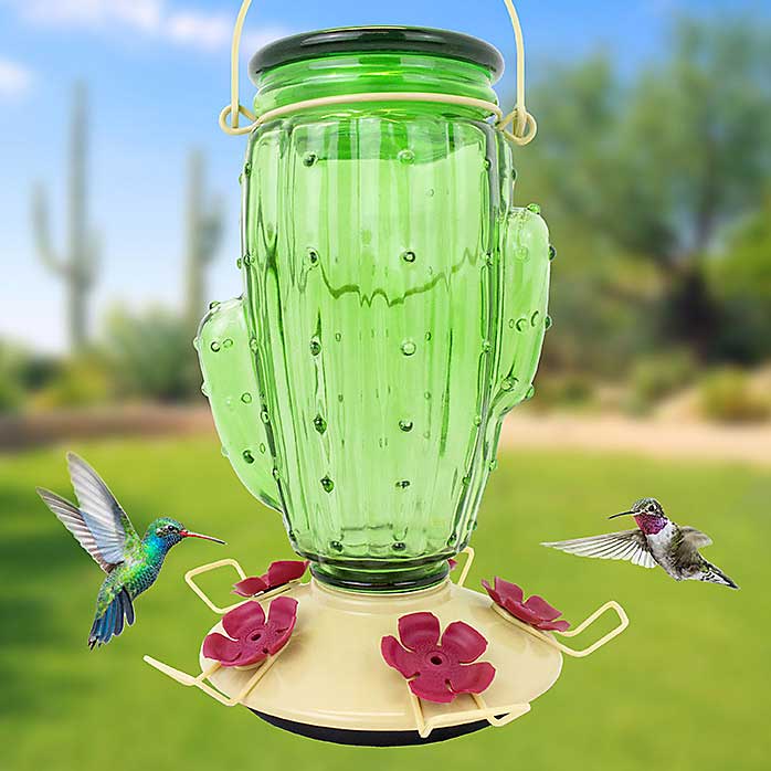 Cactus Top Fill Hummingbird Feeder