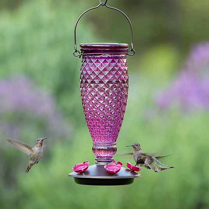 Diamond Wine Top Fill Hummingbird Feeder