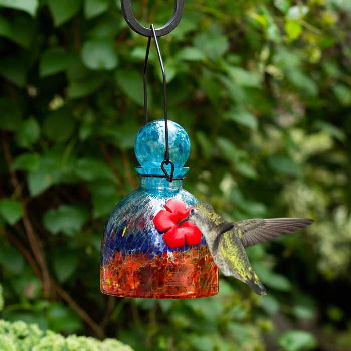 Aqua/Red LunaLite Bell Hummingbird Feeder