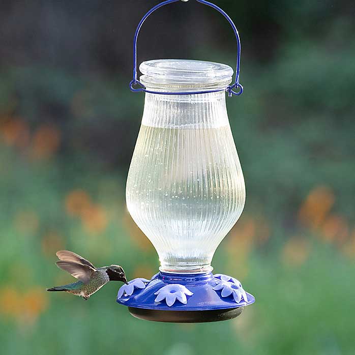 Grand Oasis Top Fill Hummingbird Feeder