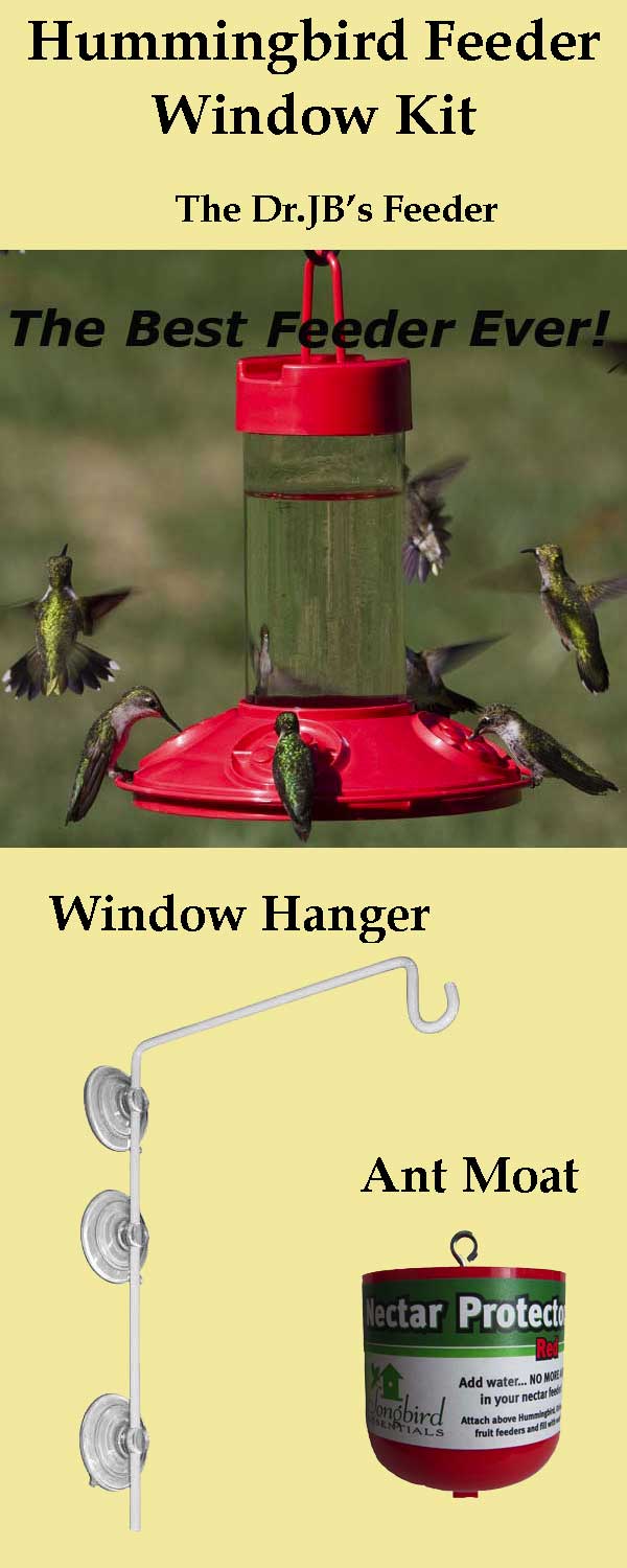 Hummingbird Feeder Window Kit