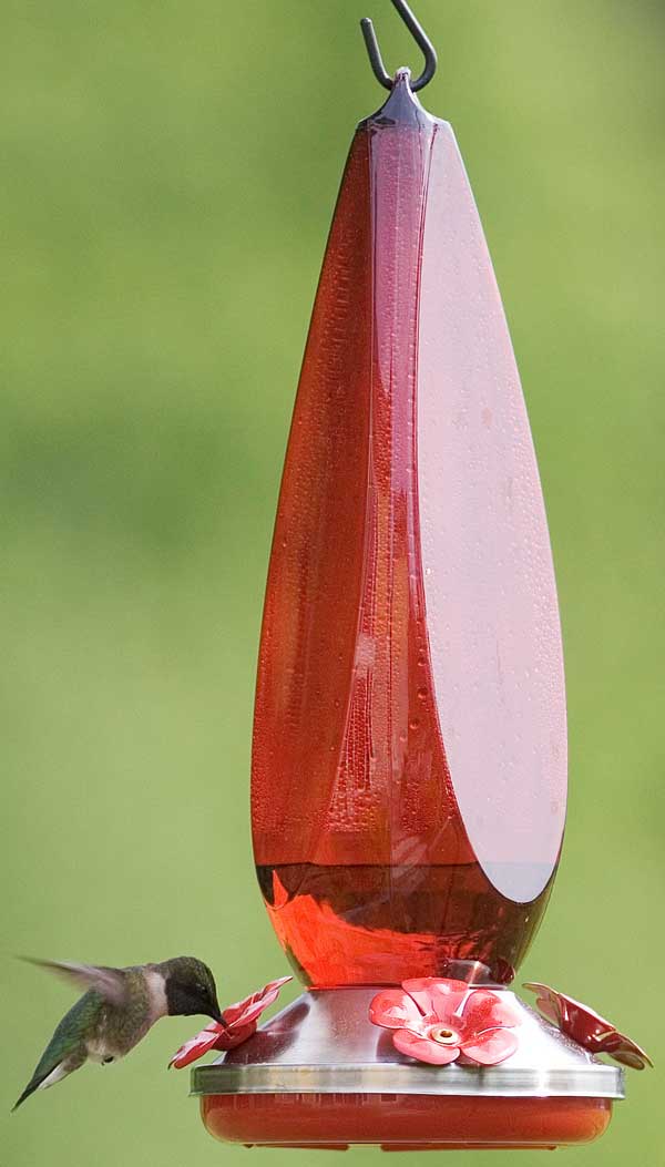 Ruby Prism Hummingbird Feeder