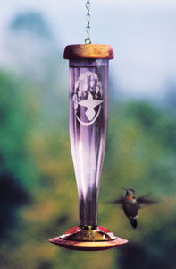 Schrodt Amethyst Etched Glass Hummingbird Feeder
