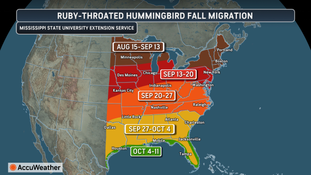 Ruby-throated Hummingbird Fall Migration Map Of Dates