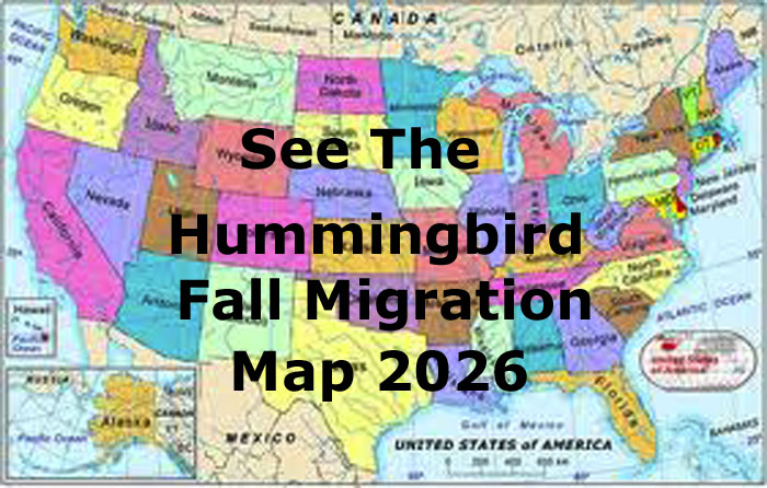 Hummingbird Fall Migration Map 21026