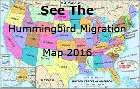 Hummingbird Tracking Map 2021 Hummingbird Migration Map 2021. Updated Hourly With Your Sightings.
