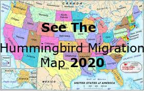 Hummingbird Migration Map 2019