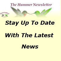 Hummingbird Guide Newsletter
