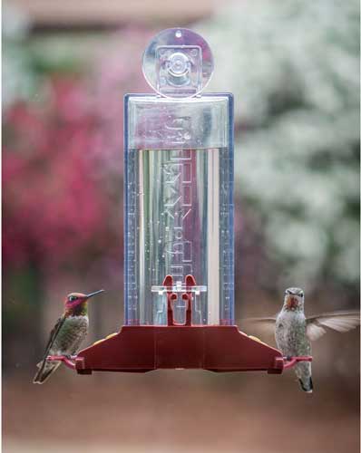 Perky Pet Window Hummingbird Feeder