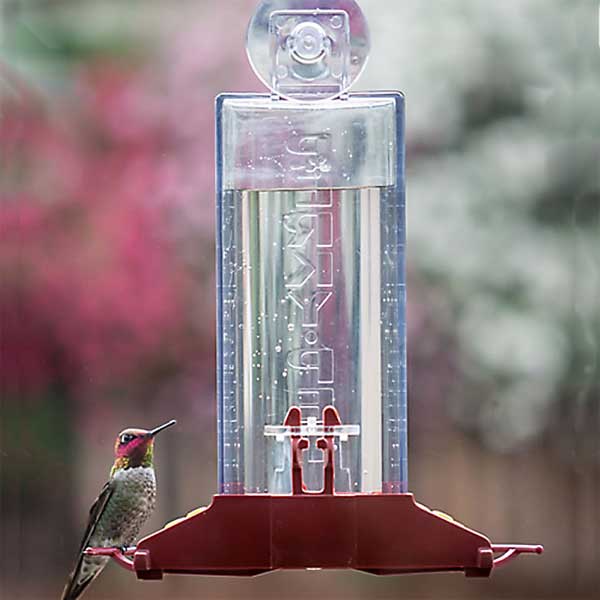 Perky Pet Window Hummingbird Feeder