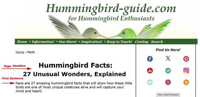 Contests-Newsletter Contest Page Screenshot