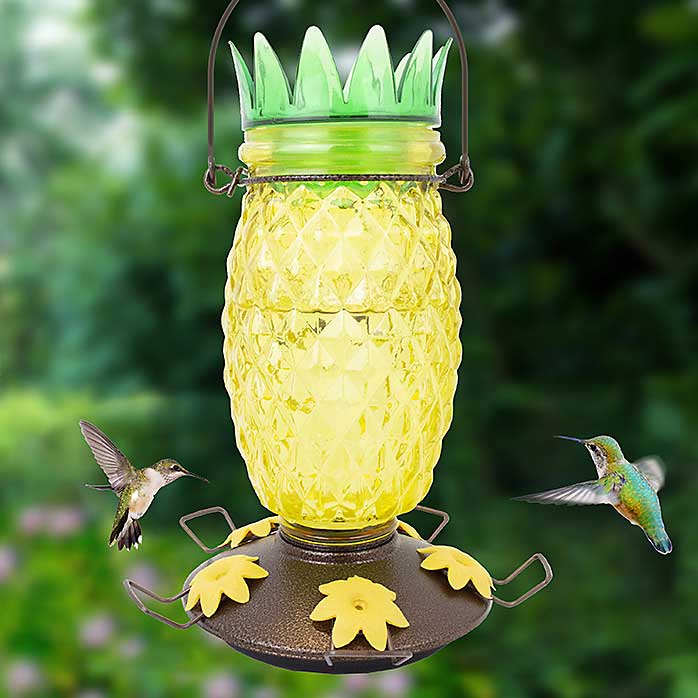 Pineapple Top Fill Hummingbird Feeder