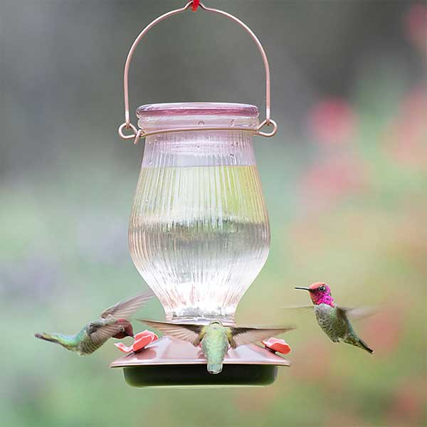 Rose Gold Top Fill Hummingbird Feeder