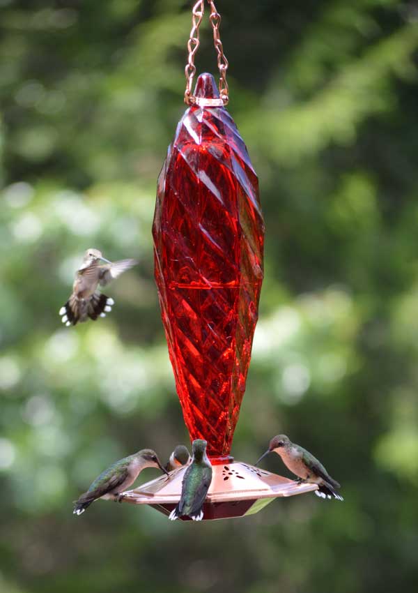 Crystal Spiral Hummingbird Feeder