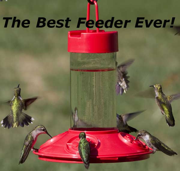 Dr. JB's Red Hummingbird Feeder