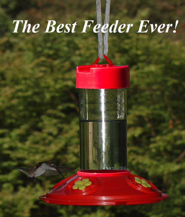 Dr.JB's Red Hummingbird Feeder with Yellow Flowers