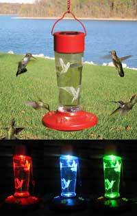 Solar Powered Hummingbird Feeder