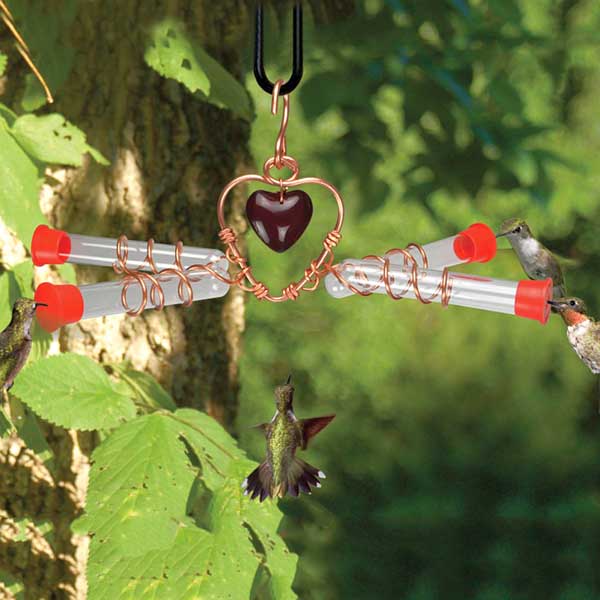 Tweet Heart 4 Tube Hummingbird Feeder in Use