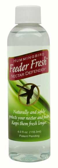 Hummingbird Feeder Fresh Nectar Defender