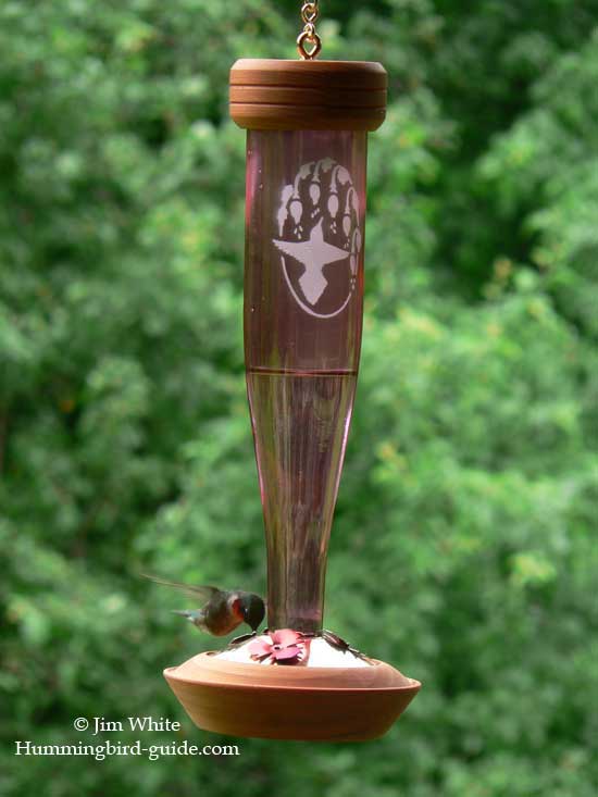 Ruby-throated Hummingbird at Our Schrodt Feeder