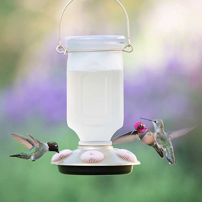 Sun-Kissed Top Fill Hummingbird Feeder