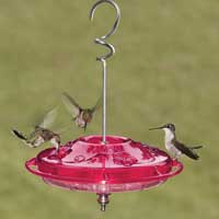 Tray Hummingbird Feeder
