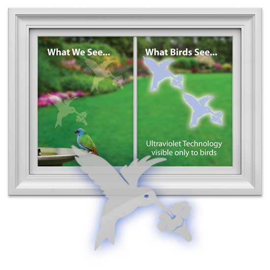 Hummingbird Safety Window Decal Prevents Bird Window Strikes
