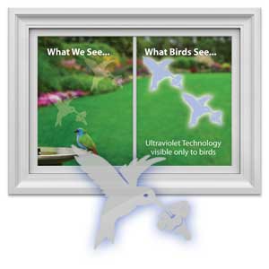 Hummingbirds Window Decal