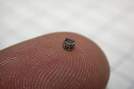 Tiny Hummingbird Band on a Finger Tip