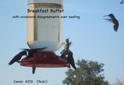 Breakfast Buffet - SRO !