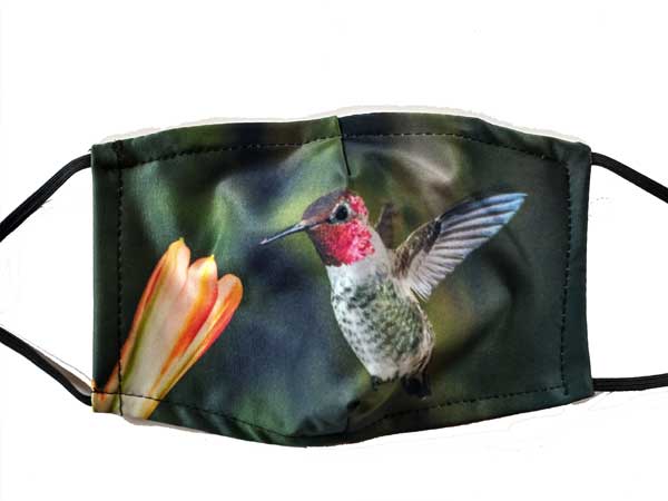 Ruby-throated Hummingbird Face Mask 2