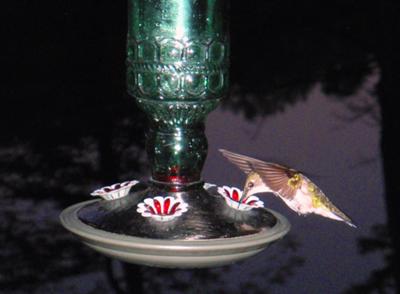 Green Mountain Hummer