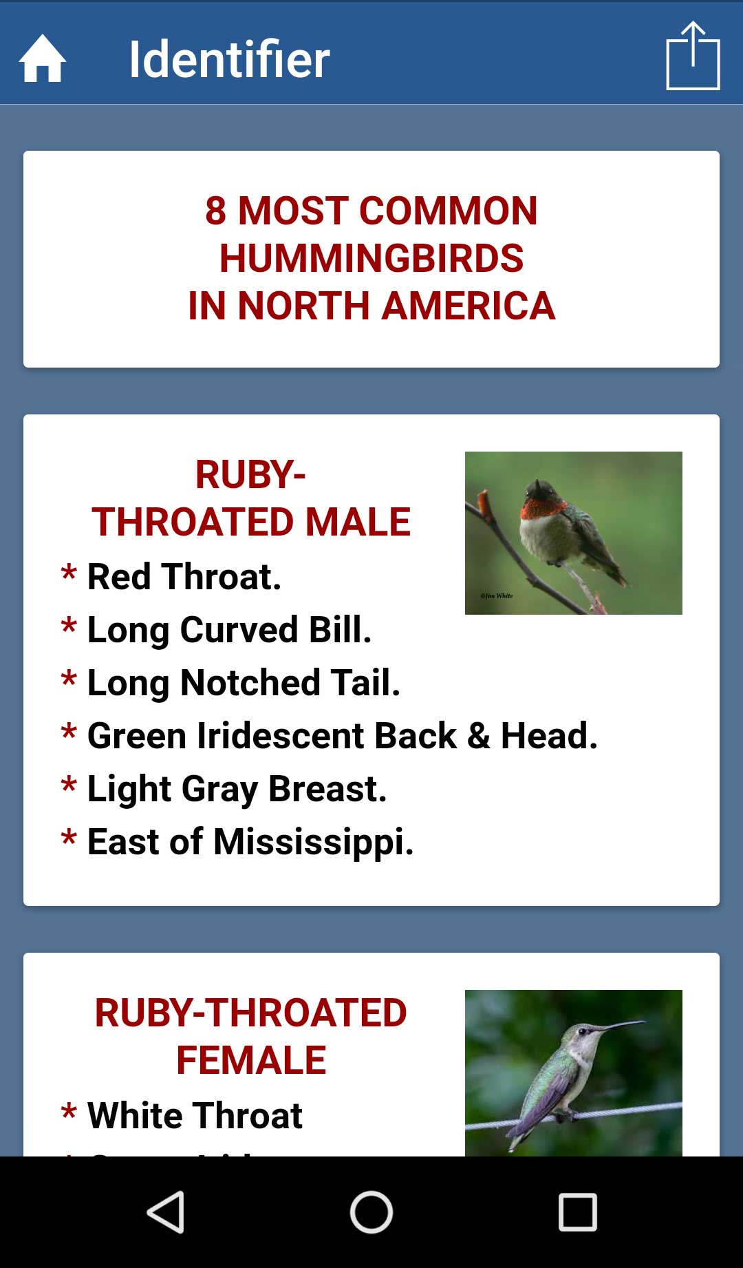 Hummingbird Tracker App Nectar Recipe Screenshot