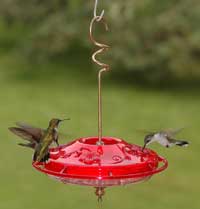 Tray Feeder